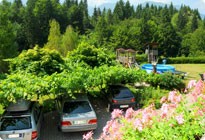 Апартаменты «РАБИЧ», Стара-Фужина – Бохинь – Словения – Апартаменты, размещение, пребывание, номера в частном секторе, апартаменты в частном секторе